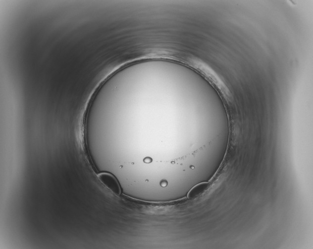 X0000101401284200807211026