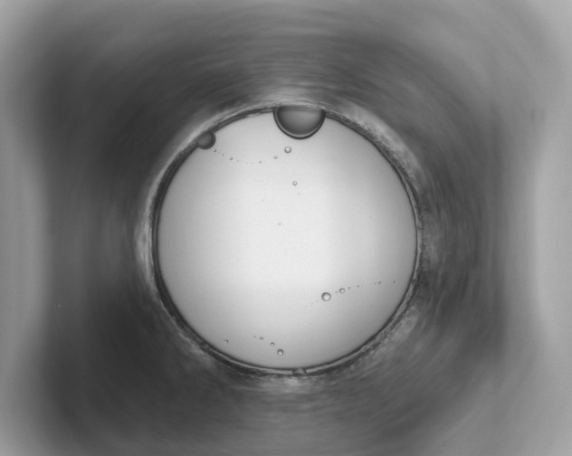 X0000101401286200807211026