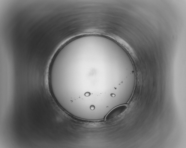 X0000101401288200807211026