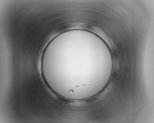 X0000101401290200807211026