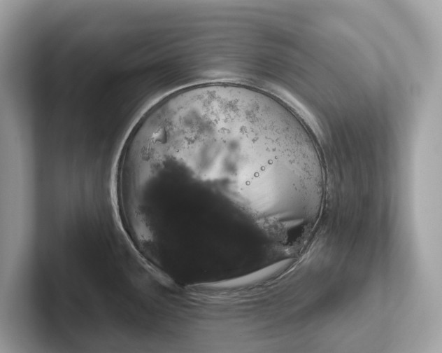 X0000101401291200807211026