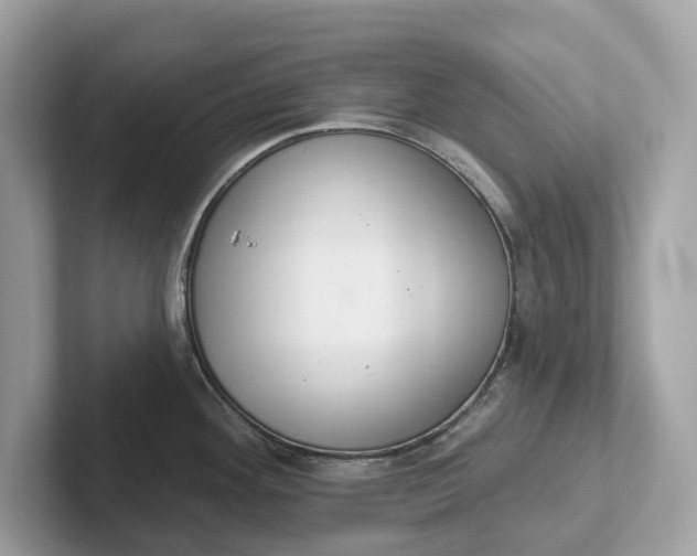 X0000101401292200807211026