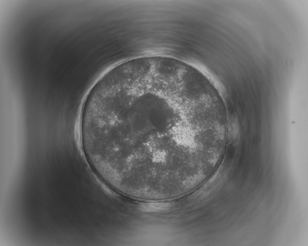 X0000101401294200807211026