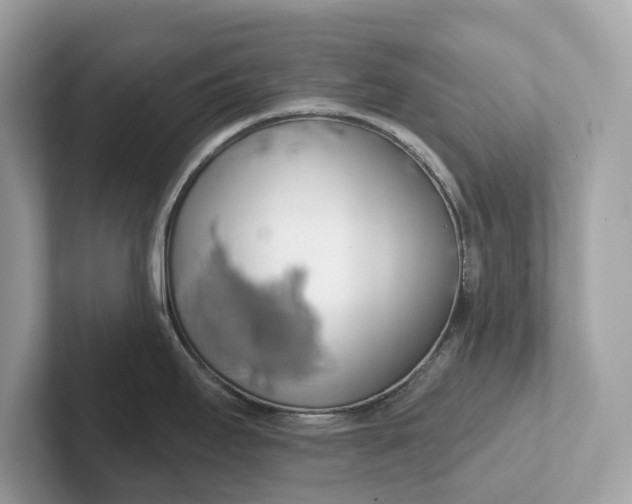 X0000101401295200807211026