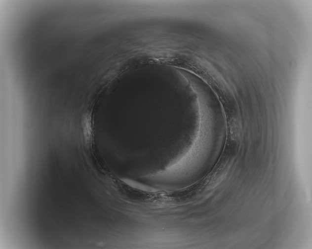 X0000101401298200807211025