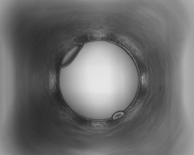 X0000101401299200807211025