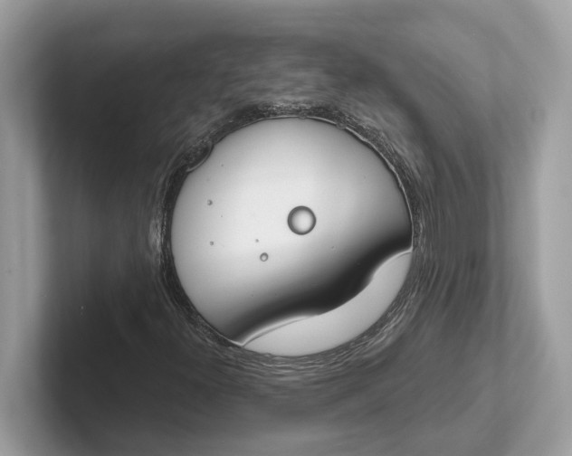 X0000101401300200807211025