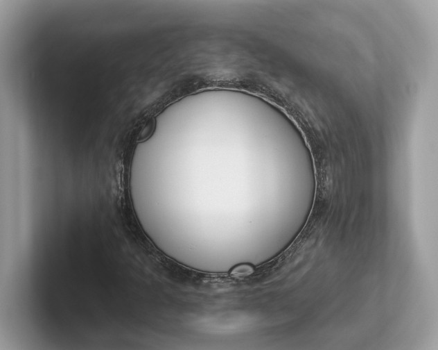 X0000101401301200807211025