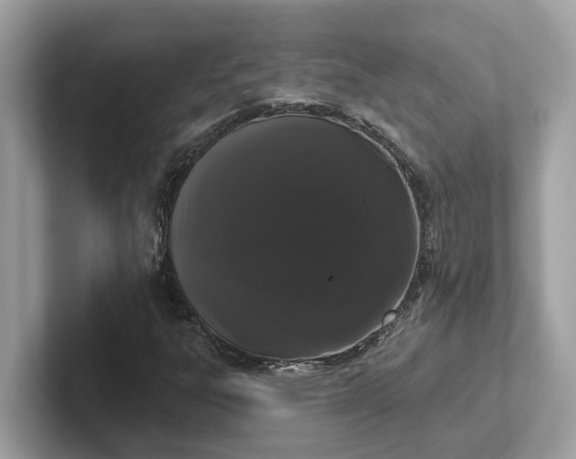 X0000101401303200807211025