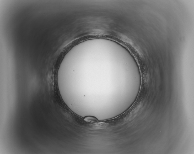 X0000101401304200807211025