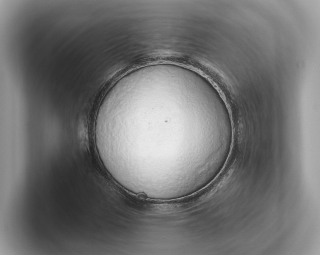 X0000101401305200807211025