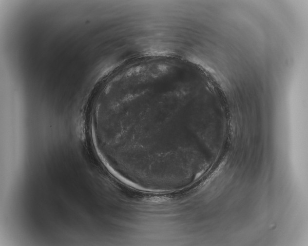 X0000101401306200807211025