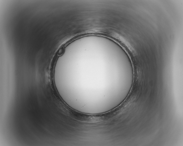 X0000101401308200807211025