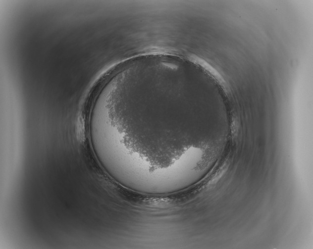 X0000101401310200807211025