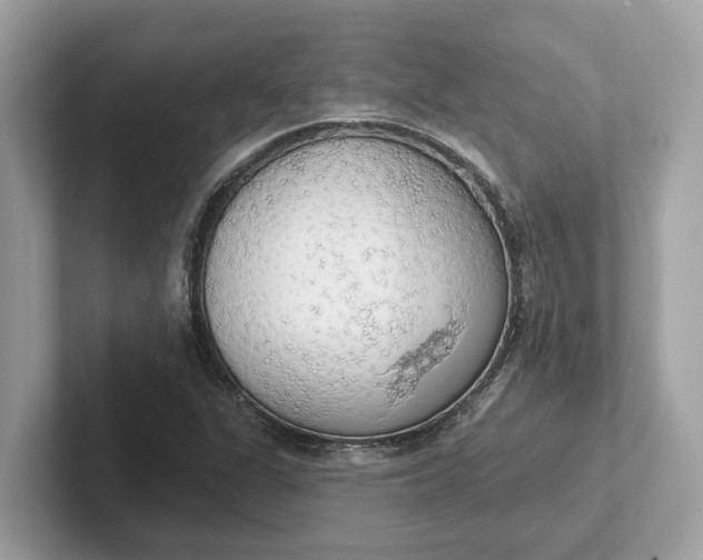 X0000101401311200807211025