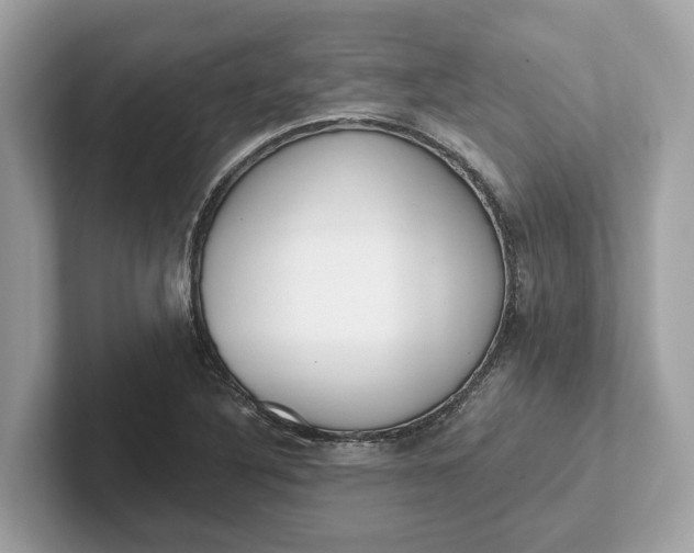 X0000101401316200807211025