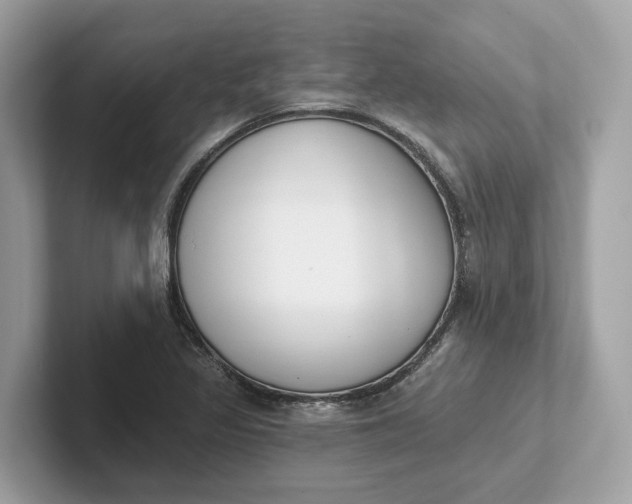 X0000101401317200807211025