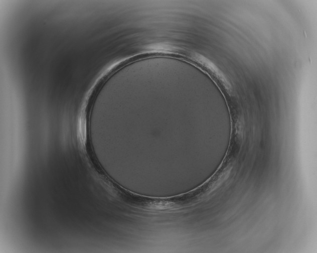 X0000101401323200807211026