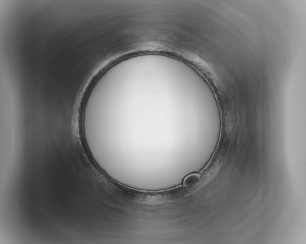 X0000101401326200807211026