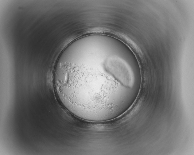 X0000101401329200807211026