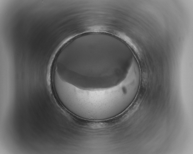 X0000101401331200807211026