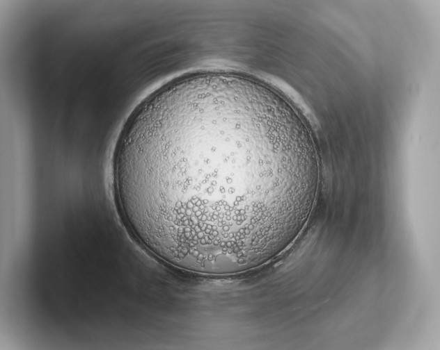 X0000101401335200807211026