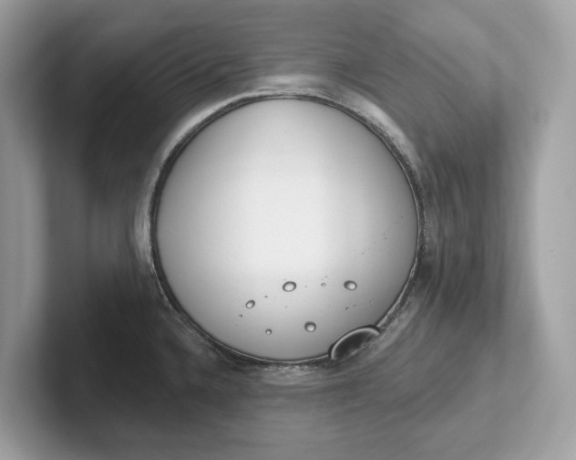 X0000101401336200807211026