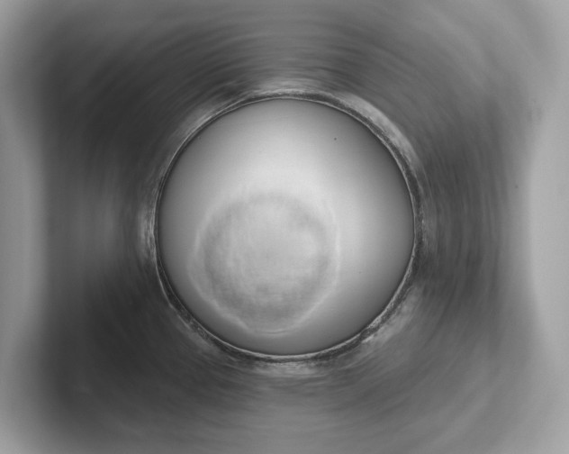 X0000101401337200807211026