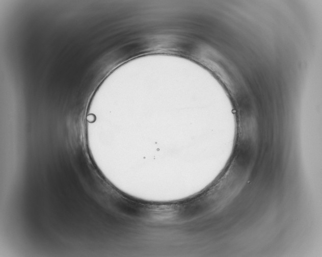 X0000101401338200807211026