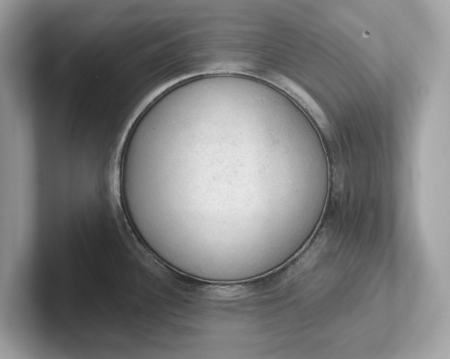 X0000101401340200807211026