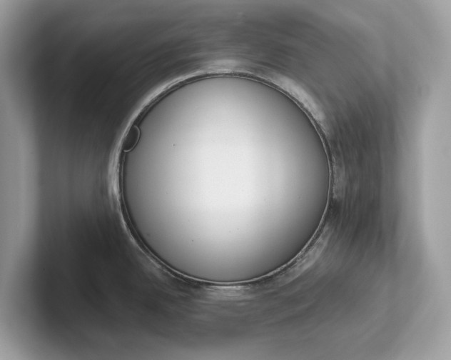 X0000101401342200807211026