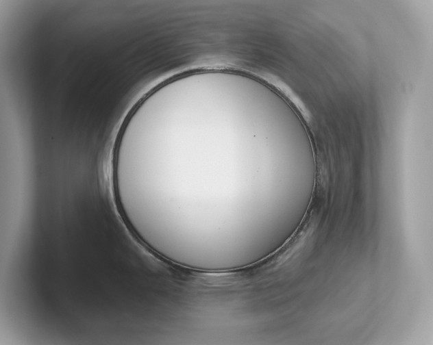 X0000101401343200807211026