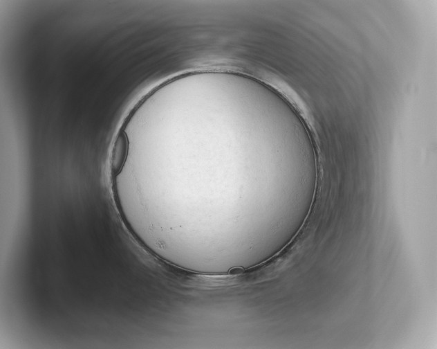 X0000101401344200807211026