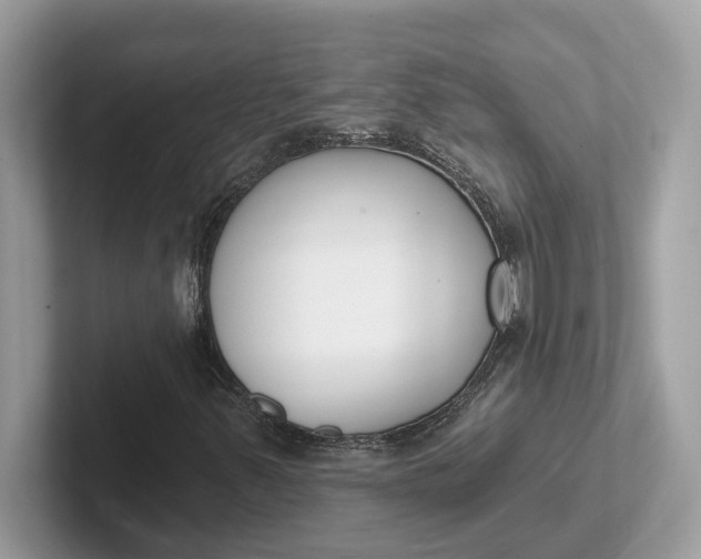 X0000101401347200807211025