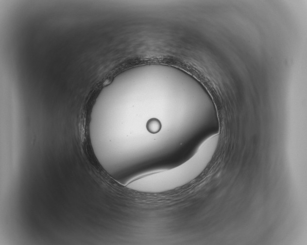 X0000101401348200807211025