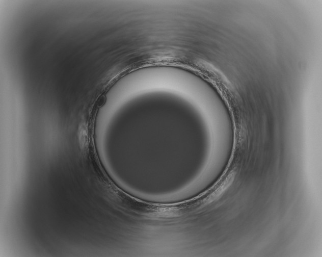 X0000101401353200807211025