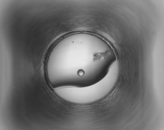 X0000101401356200807211025