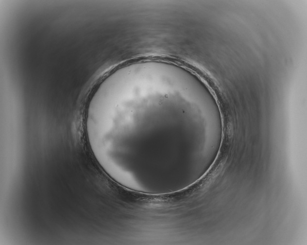 X0000101401359200807211025