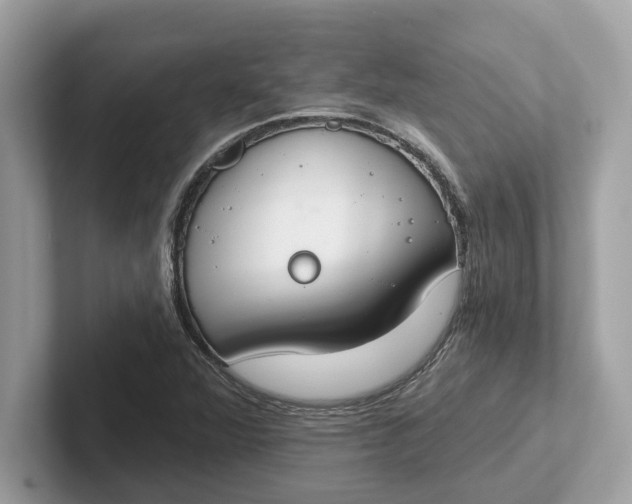 X0000101401360200807211025