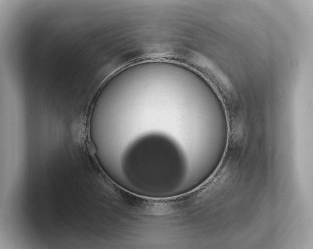 X0000101401361200807211025