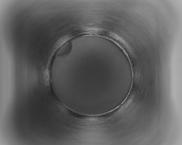 X0000101401362200807211025