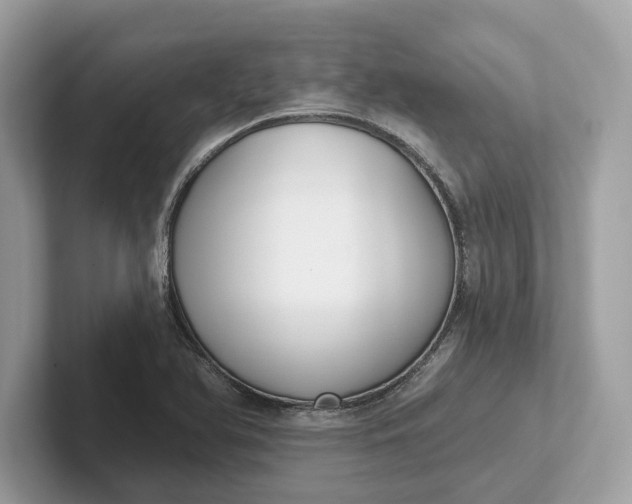 X0000101401366200807211025