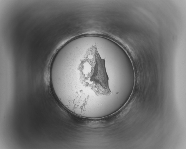 X0000101401367200807211025