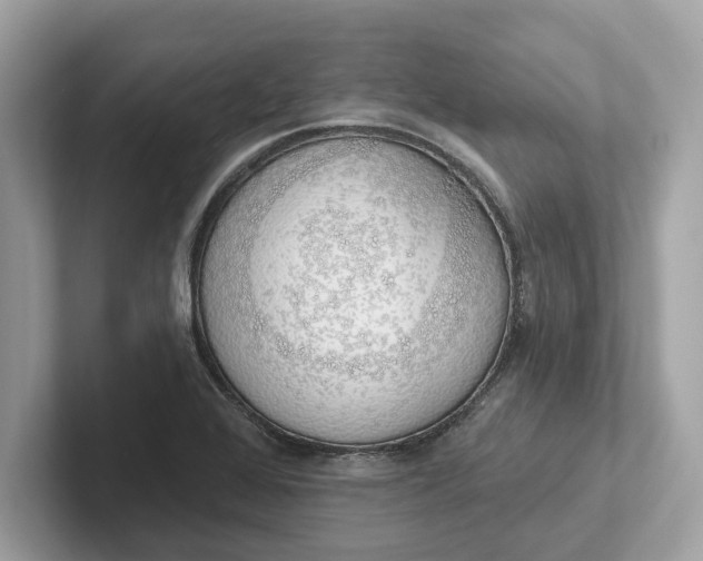 X0000101401368200807211025