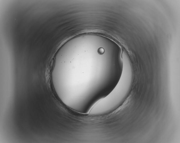 X0000101401369200807211025