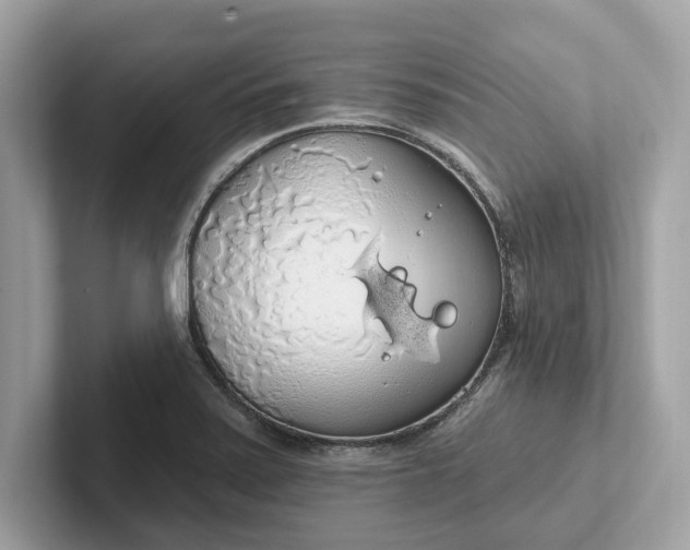 X0000101401371200807211025