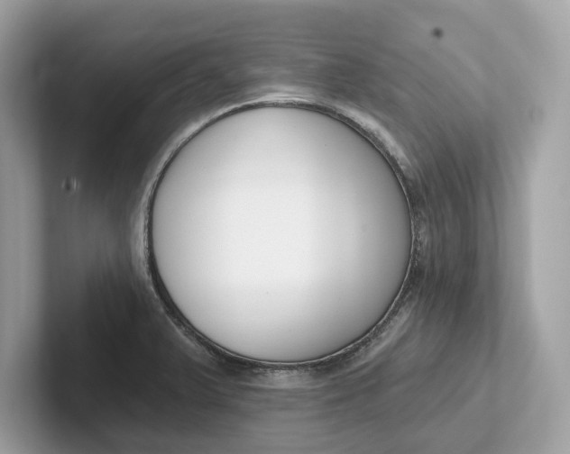 X0000101401375200807211025