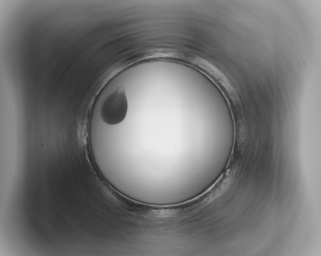 X0000101401377200807211025