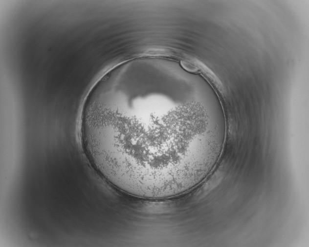 X0000101401378200807211025