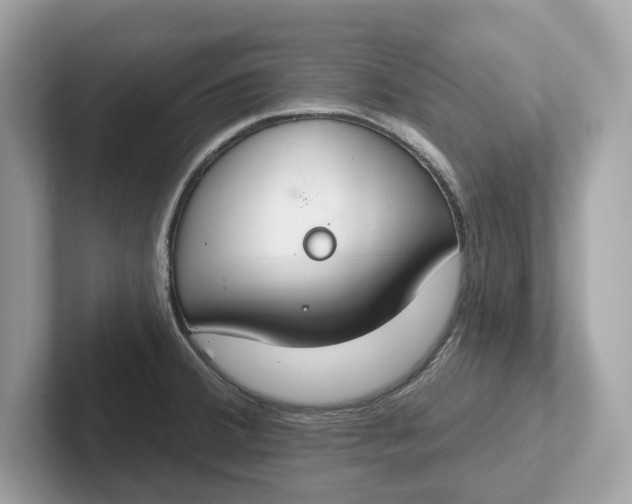 X0000101401380200807211025